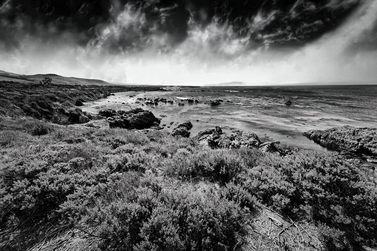 Coastal Sanctuary: Piedras Blancas Vista