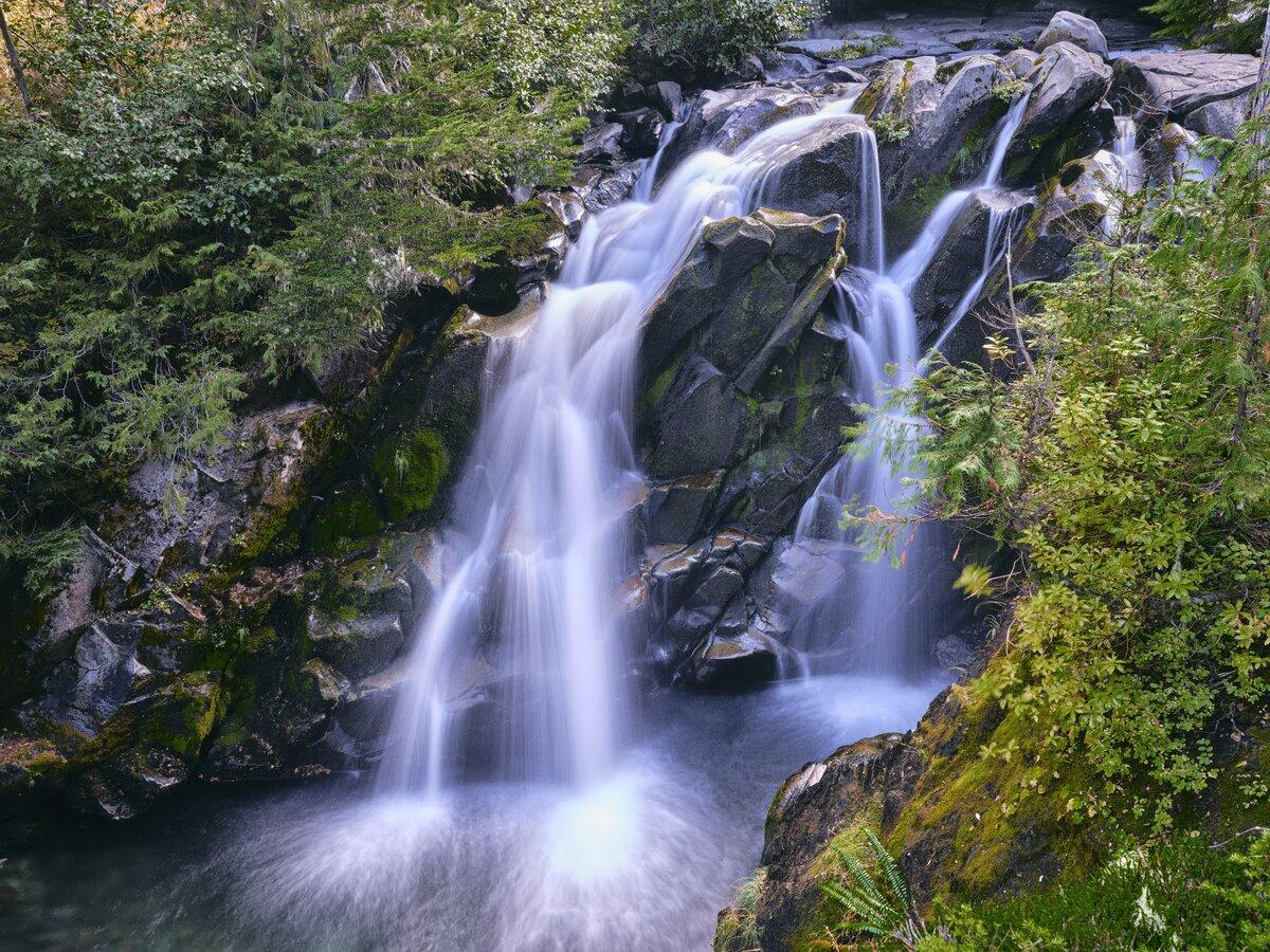 Waterfall surrounded by trees